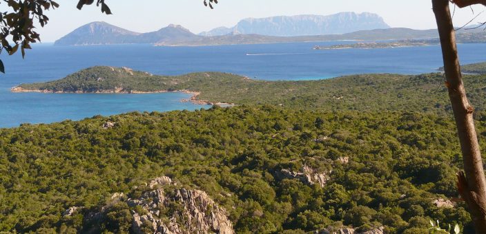 Tanti buoni motivi per andare in vacanza in montagna