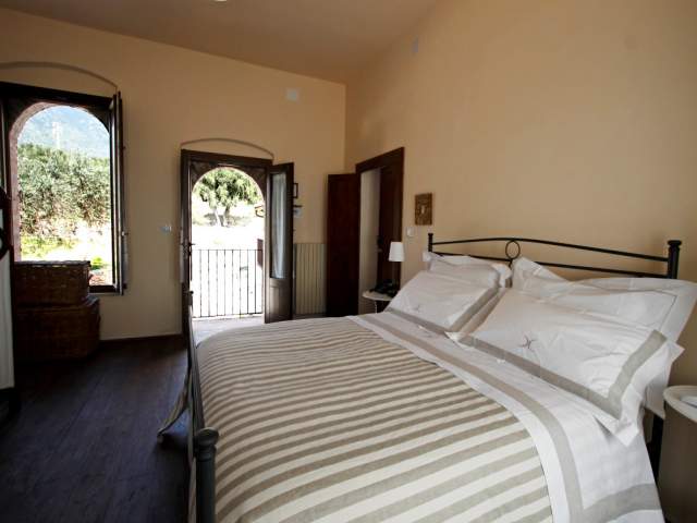 Camera Standard Deluxe