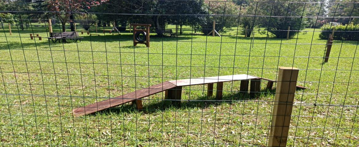 area cani con agility area cani con agility