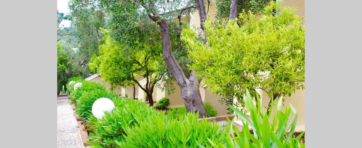 giardino giardino