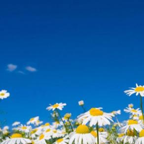 Approfitta del weekend del 25 Aprile in Puglia per trascorrere una breve vacanza in Masseria, Hotel con SPA e Resort tra relax, mare e cucina tipica pugliese.