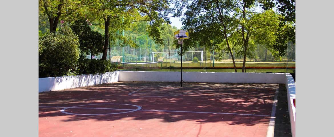 Campo basket