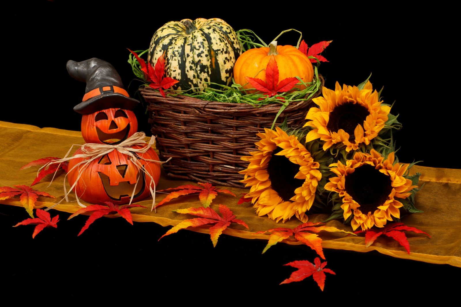 Cosa fare ad Halloween con i bambini in Puglia