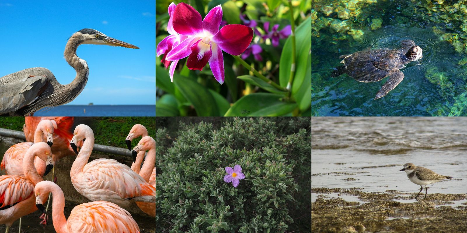 Itinerario tra le Oasi Naturali della Puglia