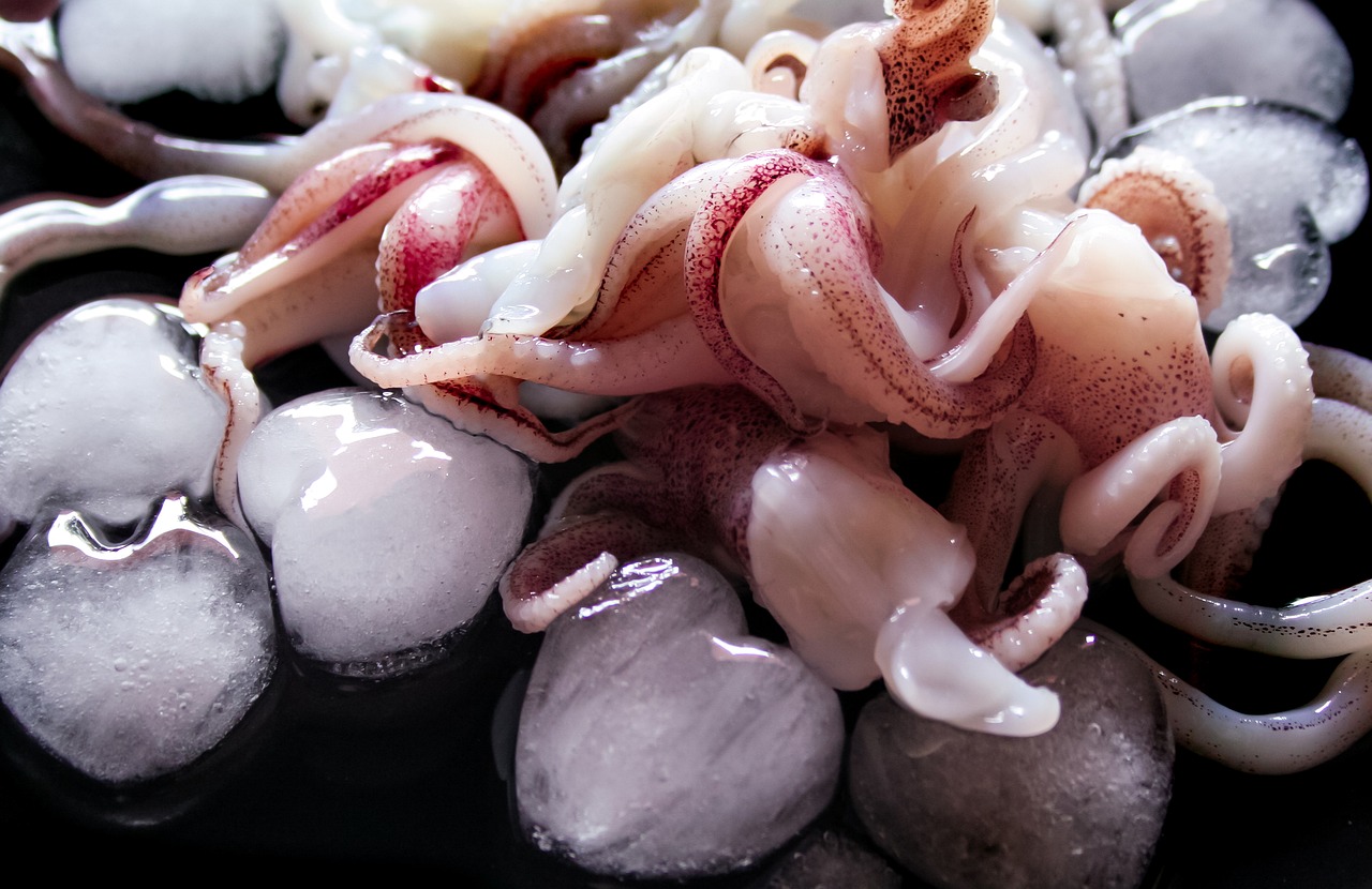 3 Ricette veloci per cucinare il Polpo di Torre Canne