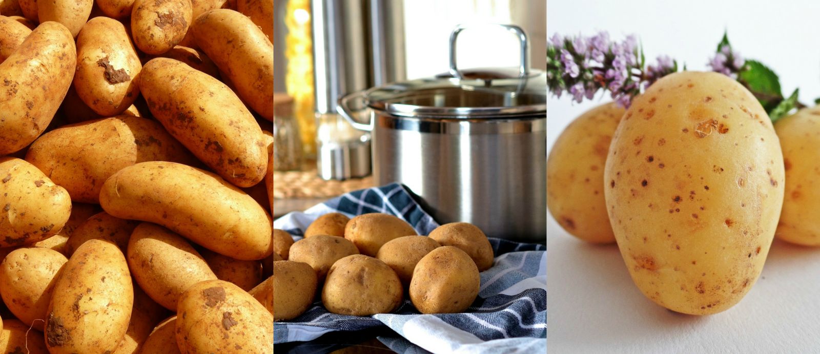 Tortino di patate pugliese un ricetta per la Tavola di Pasqua