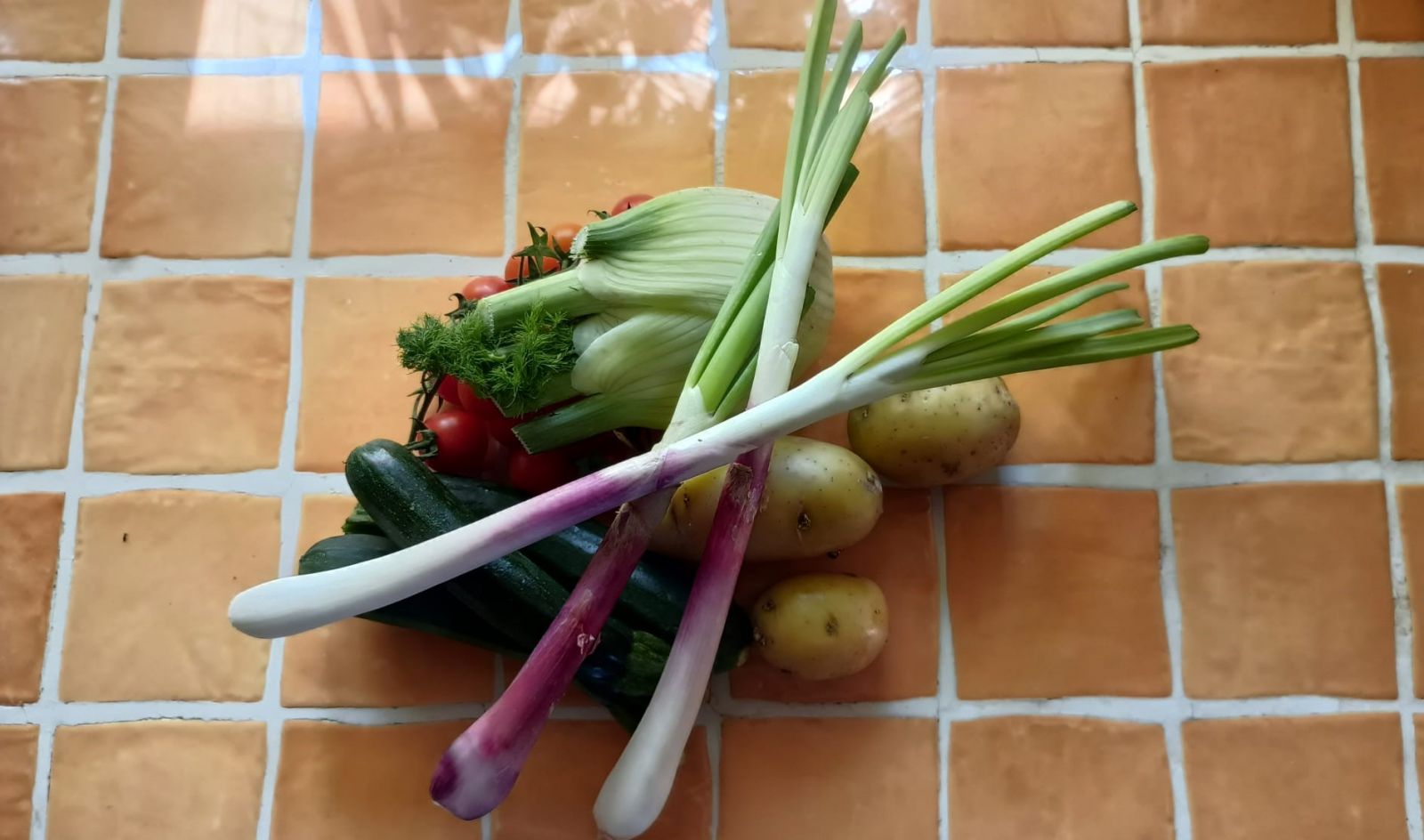 Tiella pugliese vegetariana