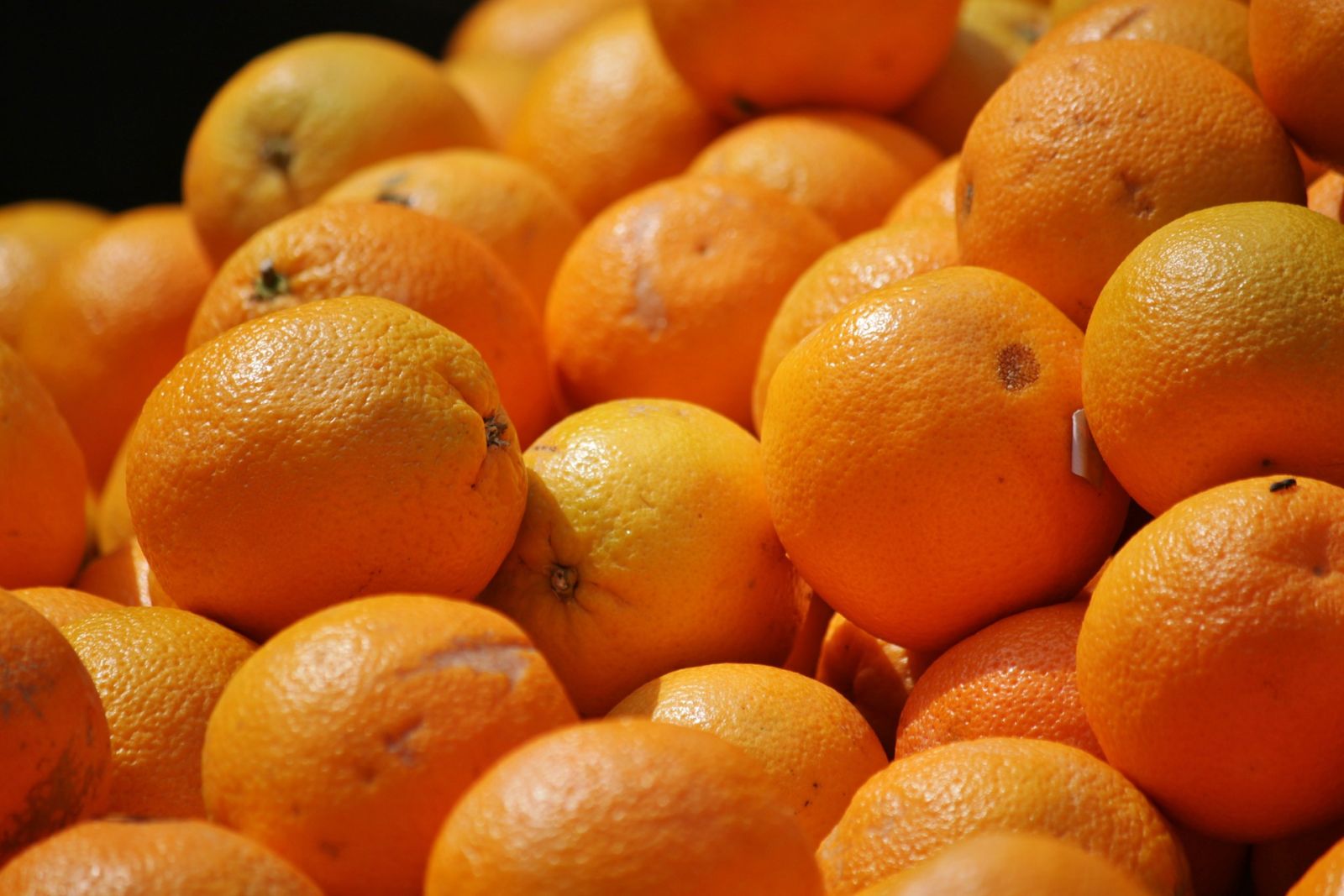 Ricetta della Torta alle arance di Puglia